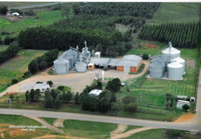 Arrozeira_2012.jpg
